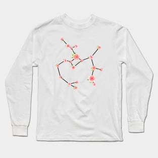 Zodiac Sign Sagittarius Long Sleeve T-Shirt